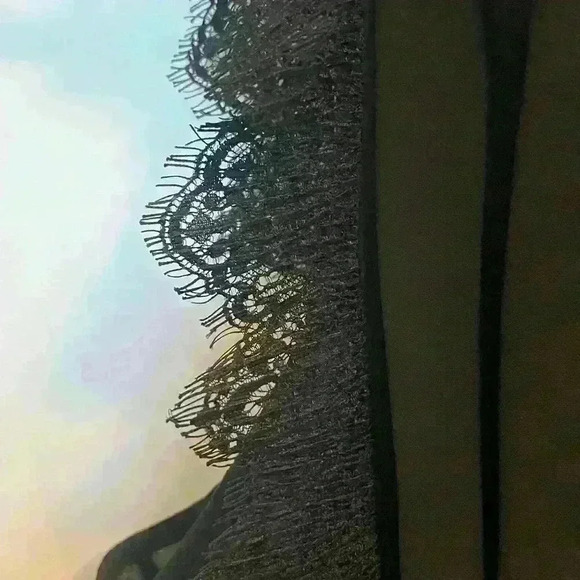 Gorgeous Axara Paris sheer maxi dress with lace and pleated size medium - Picture 4 of 7